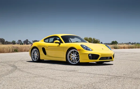 Picture Porsche, yellow, Cayman