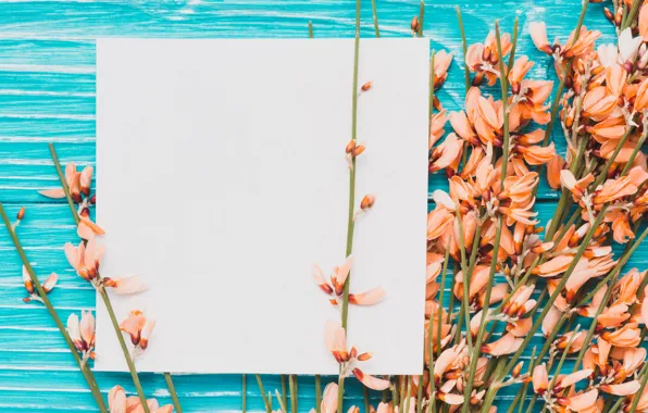 Flowers, decor, paper, plants, decorative