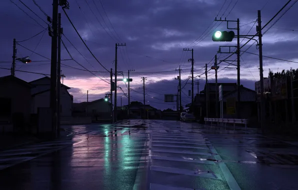 Road, the city, reflection, street, home, the evening, traffic light, after the rain