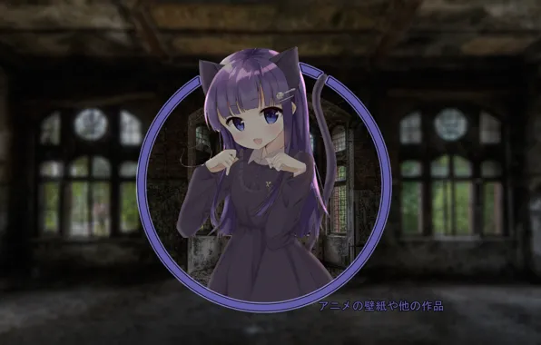 Girl, anime, neko, abandoned house, nothing, madskillz