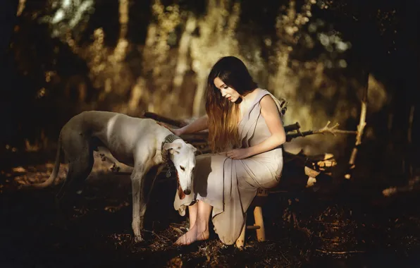 Girl, dog, Laulights