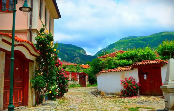 Picture Flowers, Nature, Home, Mountains, Village, The bushes, Nature, Flowers