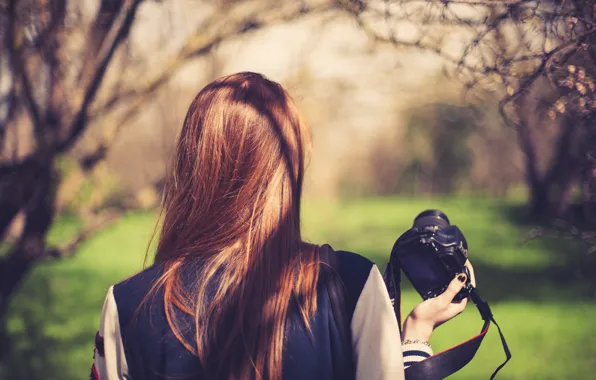 Picture back, the camera, red