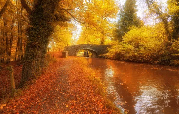 Picture autumn, bridge, river, photo, Wales, United Kingdom