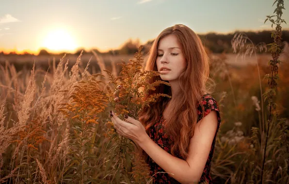 Grass, girl, the sun, dawn, dress, red, is, in the field