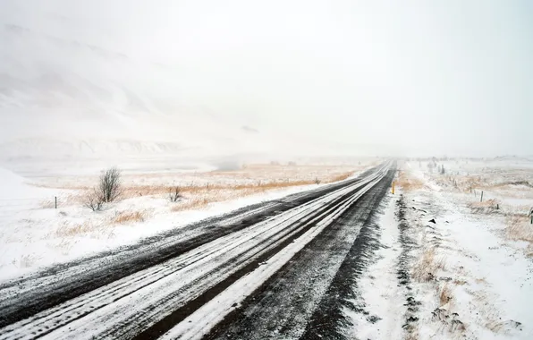 Winter, road, field