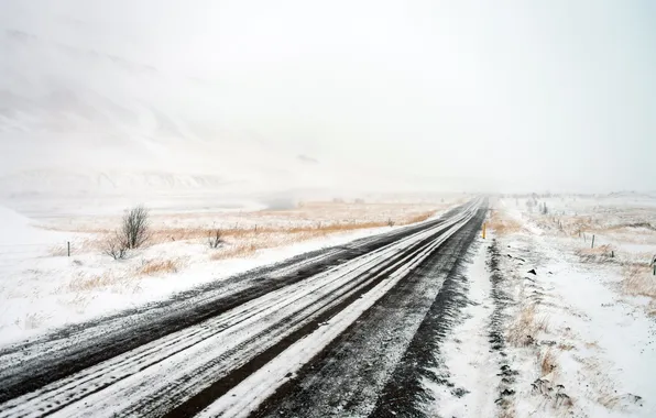 Picture winter, road, field