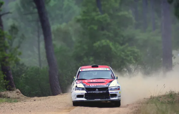 Picture Forest, Sport, Race, Skid, Mitsubishi, Lancer, WRC, Rally