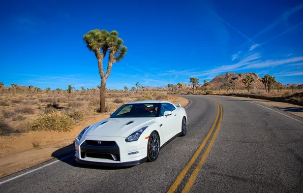 Picture The sky, Auto, Road, White, The hood, Nissan, GT-R, Nissan