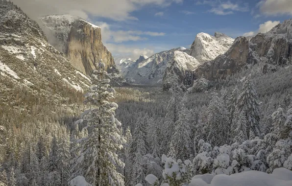 Winter, forest, snow, mountains, valley, CA, Yosemite, California