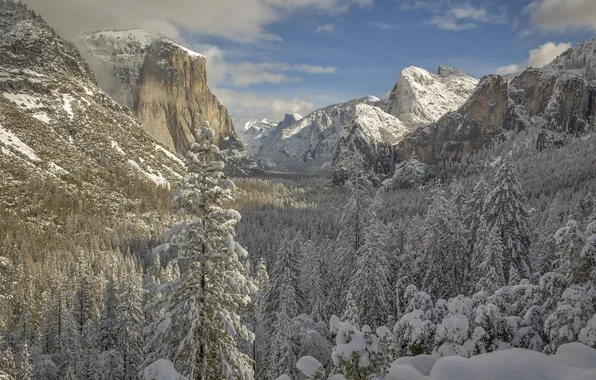 Wallpaper winter, forest, snow, mountains, valley, CA, Yosemite ...