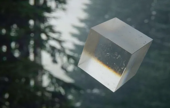Forest, cube, Mountain mist, mark chang