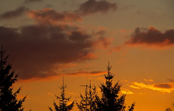 The sky, clouds, trees, sunset, antenna