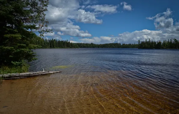 Picture the sky, water, clouds, trees, nature, widescreen