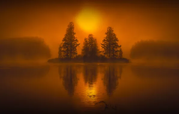 Picture trees, fog, lake, mystic, island