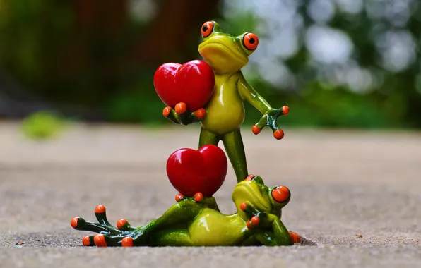 Road, love, holiday, heart, frog, heart, frogs, hearts