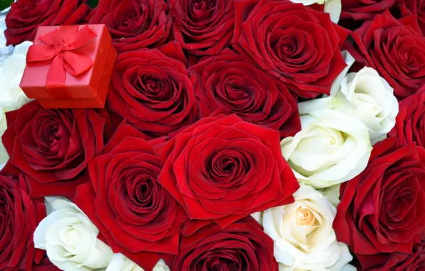 Flowers, roses, bouquet, red, box, offer