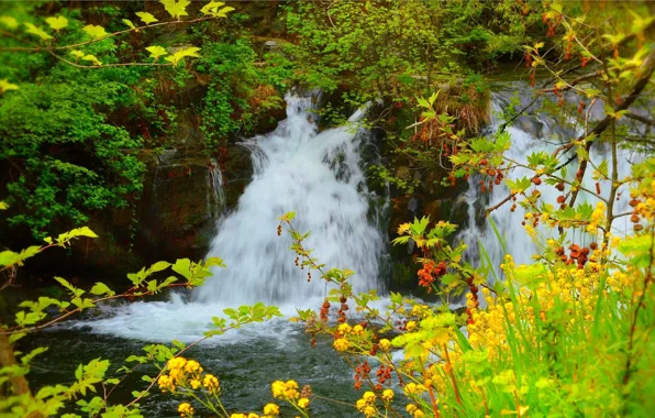 Picture Nature, Spring, Waterfall, Nature, Spring, Flowering, Waterfall, Flowering