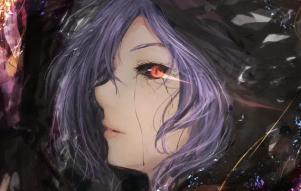 Art, art, red eye, admin stupid hamster, Tokyo Ghoul, Tokyo Ghoul, Kirishima Bring