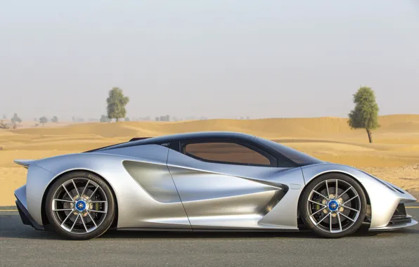 Tree, Wheel, Lotus, Drives, Supercar, Dunes, Side view, 2020