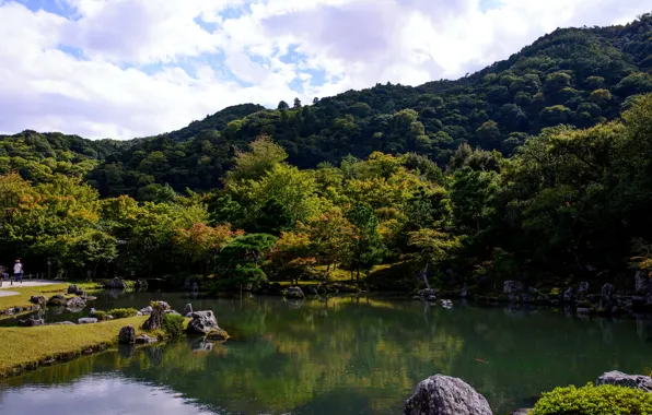 Trees, pond, Park, stones, Japan
