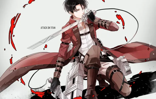 Anime] Shingeki no Kyojin (Attack on Titan)