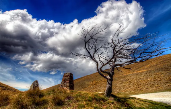 The sky, landscape, tree