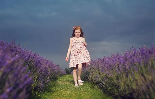 Picture field, girl, lavender