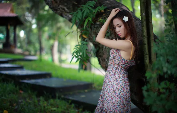 Girl, background, Asian