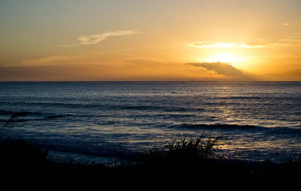 Sea, grass, clouds, sunset, shore, silhouette