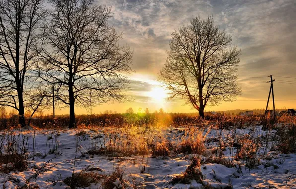 Winter, the sky, the sun, snow, trees, landscape, sunset, nature