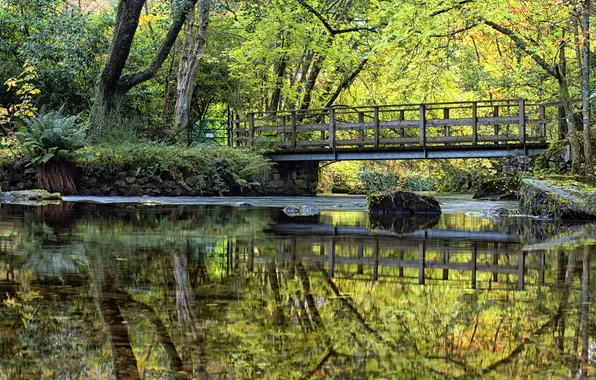 Greens, water, trees, bridge, reflection, river, stones, moss