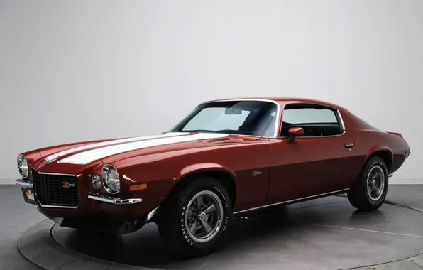 Picture retro, Chevrolet, muscle car, camaro, chevrolet, muscle car, 1970, Camaro