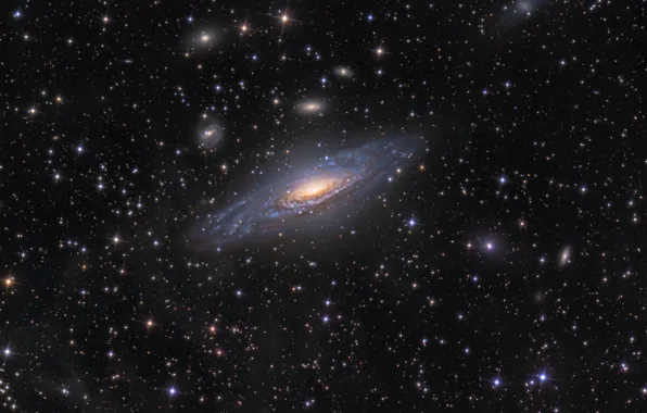 Stars, space, galaxy, NGC7331, spiral