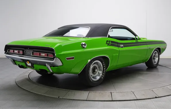 Picture background, Dodge, 1971, green, Dodge, Challenger, classic, rear view