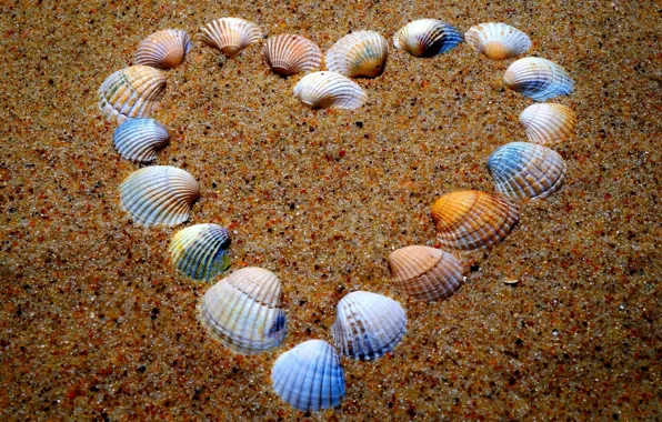 Heart, sand, shells