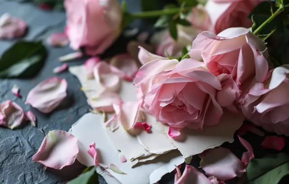 Flowers, holiday, roses, petals, AI art, neural network