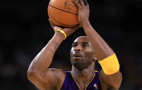 Lakers, Kobe Bryant, KB24, Kobe