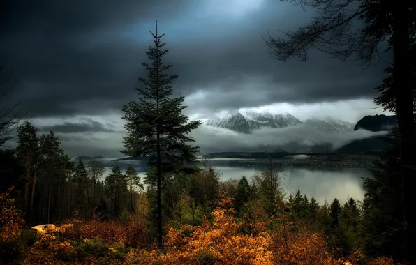 Autumn, forest, clouds, trees, mountains, lake, the evening, Switzerland