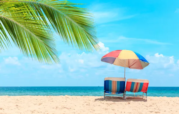 Sand, sea, wave, beach, summer, the sky, palm trees, shore