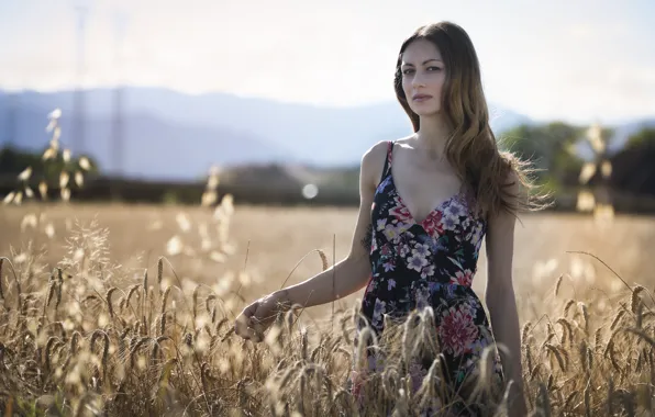 Picture field, summer, look, face, model, dress, beauty, ears