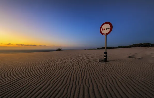 Sea, beach, night, sign