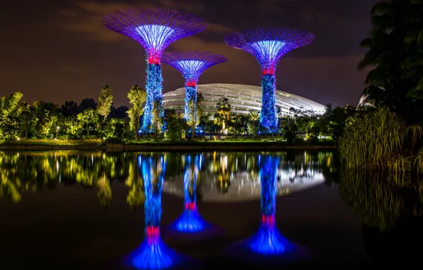 Greens, trees, night, design, lights, pond, Park, beauty