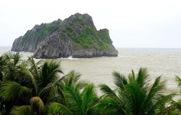 Picture sea, palm trees, island, Vietnam, national Park, Cat BA island, Cat Ba, Cat Ba island