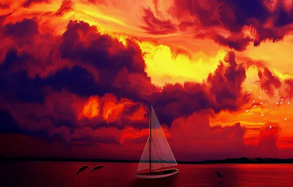 Picture birds, Sunset, dolphins, sailing boat