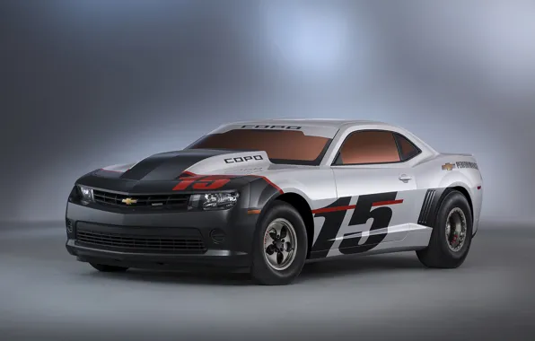 Chevrolet, Camaro, COPO, 2015