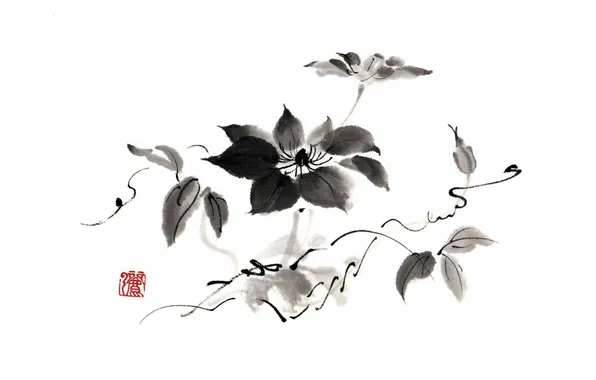 White, flower, black, monochrome, Chinese painting