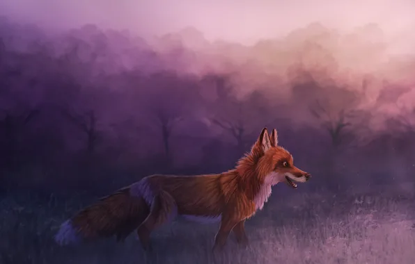 Picture forest, Fox, by CreeperMan0508