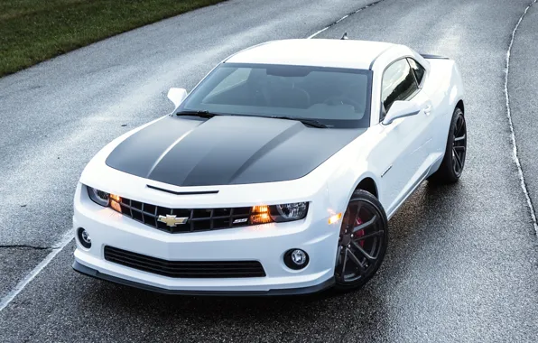 Road, white, Chevrolet, Camaro, Chevrolet, Camaro, the front, Muscle car