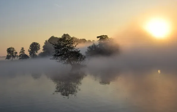 The sun, trees, fog, lake, reflection, morning, haze
